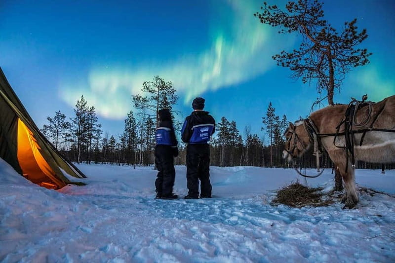 Rovaniemi: Horse Sleigh Ride under the Night Sky - A quiet start beneath the Arctic sky