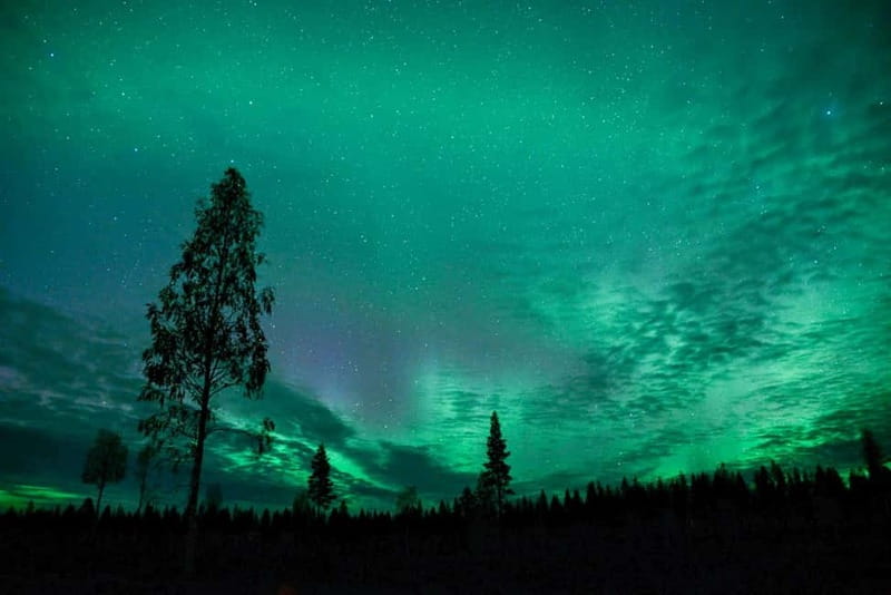 Rovaniemi: Horse Sleigh Ride under the Night Sky - Following the trail at Apukka Resort