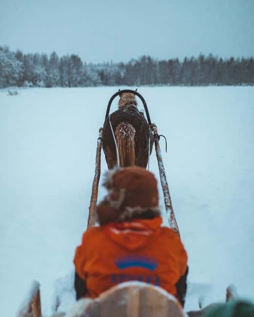 Rovaniemi: Horse Sleigh Ride under the Night Sky - What the $185 price includes