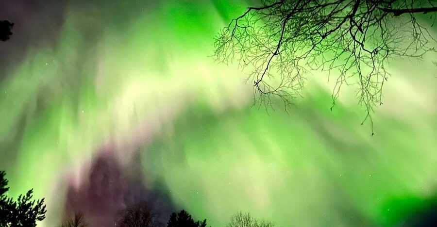 Rovaniemi Hunting Aurora at the Best Spots - Key points to know before you book