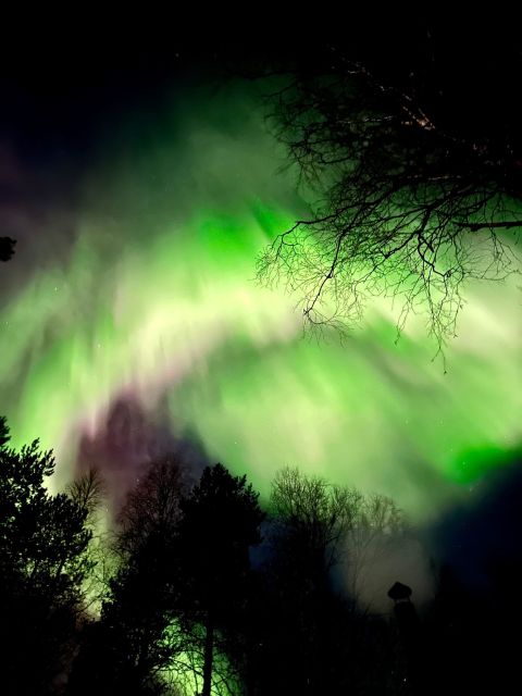 Rovaniemi Hunting Aurora at the Best Spots - Small-group travel and guide support