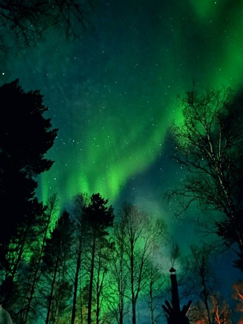 Rovaniemi Hunting Aurora at the Best Spots - Who should choose this Aurora hunt?