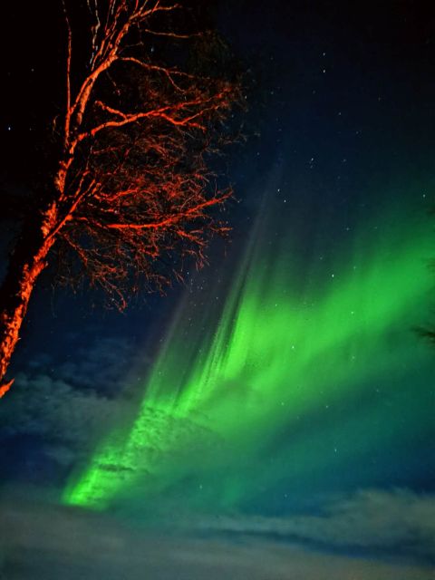 Rovaniemi Hunting Aurora at the Best Spots - What happens at the two Aurora stops