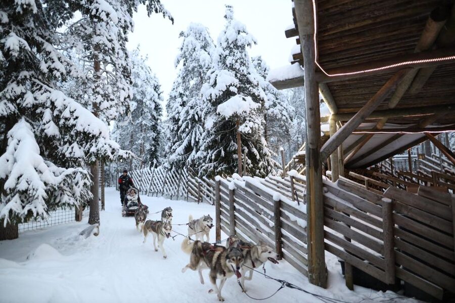 Rovaniemi: Husky and reindeer farm visit with sleigh rides - At the husky park, expect a lesson before the ride