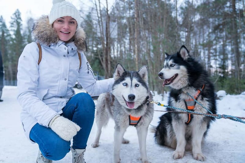Rovaniemi: Husky Farm and Reindeer Experience - Starting from Rovaniemi