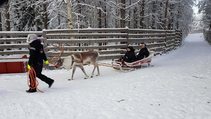 Rovaniemi: Husky Farm and Reindeer Experience - Who will enjoy this most
