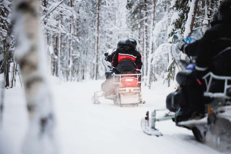 Rovaniemi: Husky & Reindeer Experience with Snowmobile Ride - Meeting reindeer and learning about herding