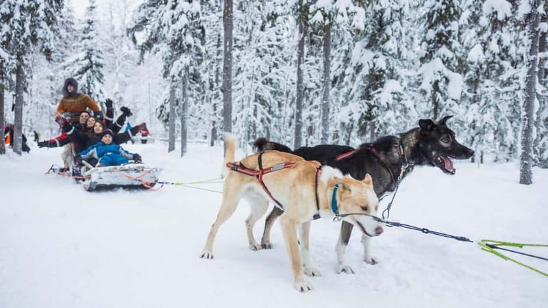 Rovaniemi: Husky & Reindeer Experience with Snowmobile Ride - The guides and how the day feels in practice