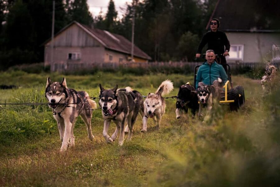 Rovaniemi: Husky Safari & Campfire BBQ – 6‑10 km Self‑Drive - Learning to control a 6 to 10 kilometer sled