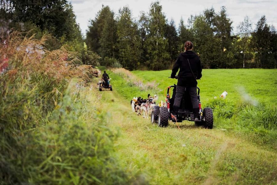 Rovaniemi: Husky Safari & Campfire BBQ – 6‑10 km Self‑Drive - A warm hut, sausage, and hot berry juice