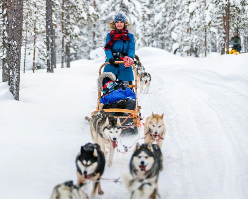 Rovaniemi: Husky Safari on a Snowy Trail - Who will enjoy this most?