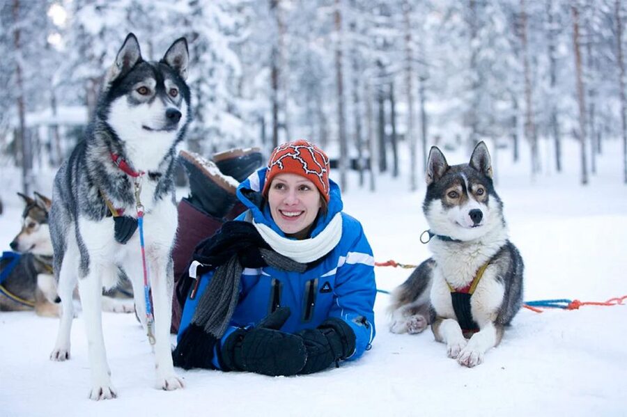 Rovaniemi: Husky Safari on a Snowy Trail - How this compares with a Santa Claus Village dog ride