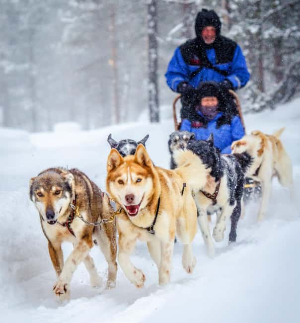 Rovaniemi: Husky Sled Ride and Farm Visit - Leaving Rovaniemi for a husky farm