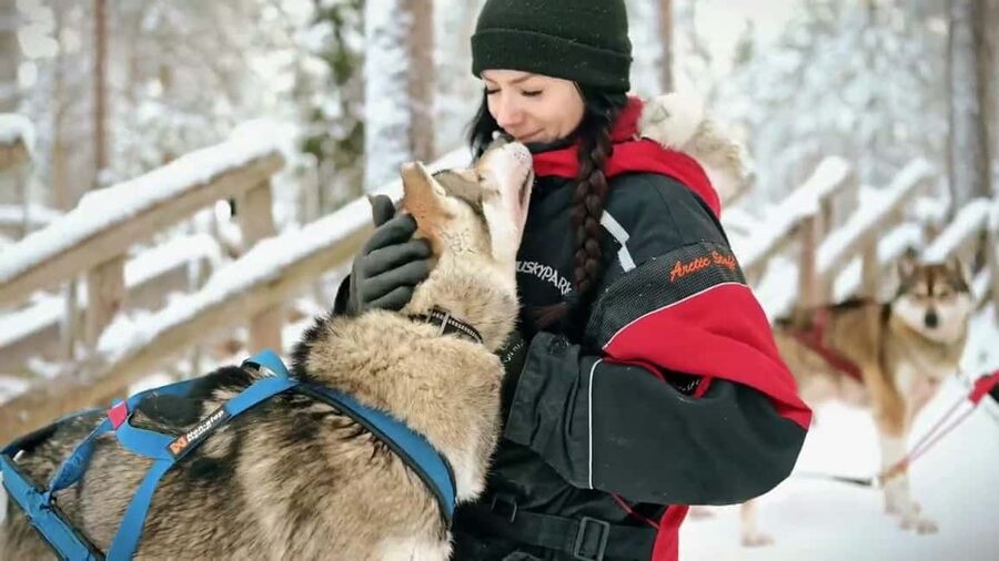 Rovaniemi: Husky Sled Ride and Farm Visit - Small details that make the outing better