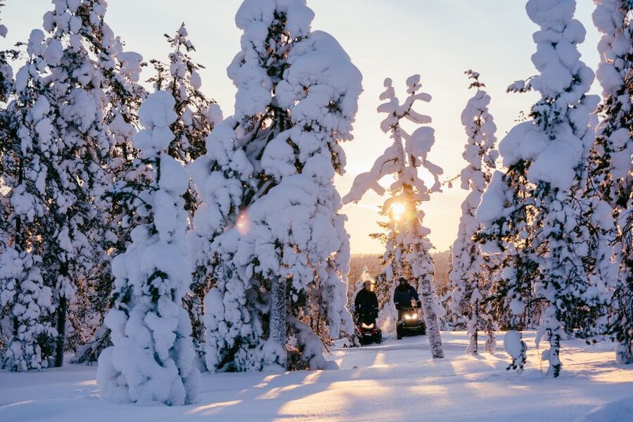Rovaniemi: Ice Fishing & Snowmobile Safari Combo Day - The snowmobile ride through Arctic forest