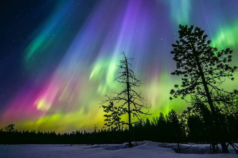Rovaniemi: Ice Floating in Forest Lake with Aurora Borealis - What this Rovaniemi lake experience is really like