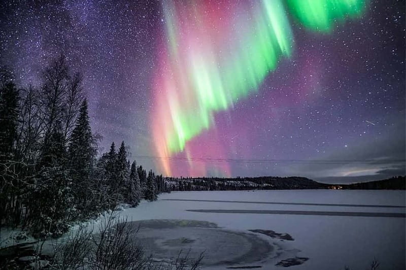 Rovaniemi: Ice Floating in Forest Lake with Aurora Borealis - Is $142 a fair price?
