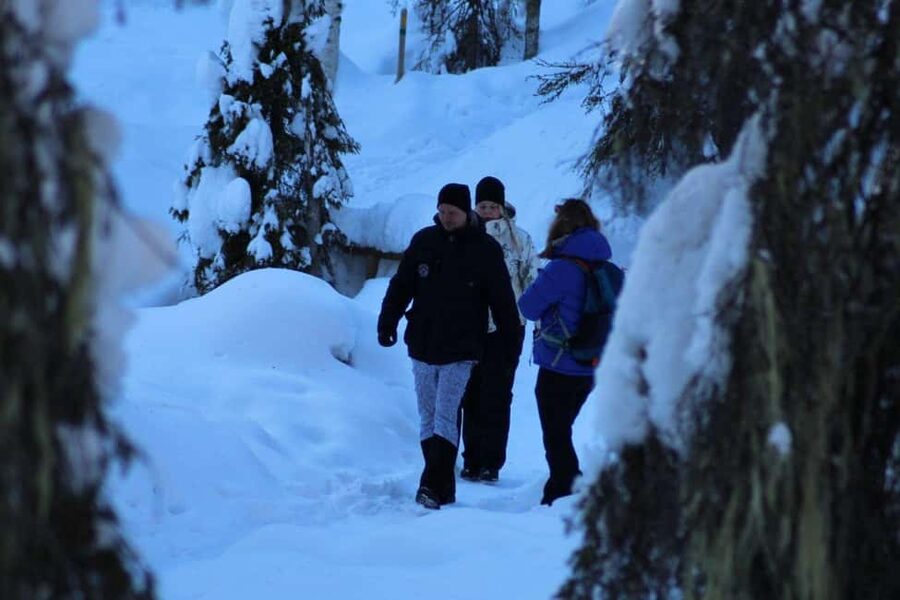Rovaniemi: Korouoma Canyon and Frozen Waterfalls Tour - Cold-Weather Preparation That Actually Matters