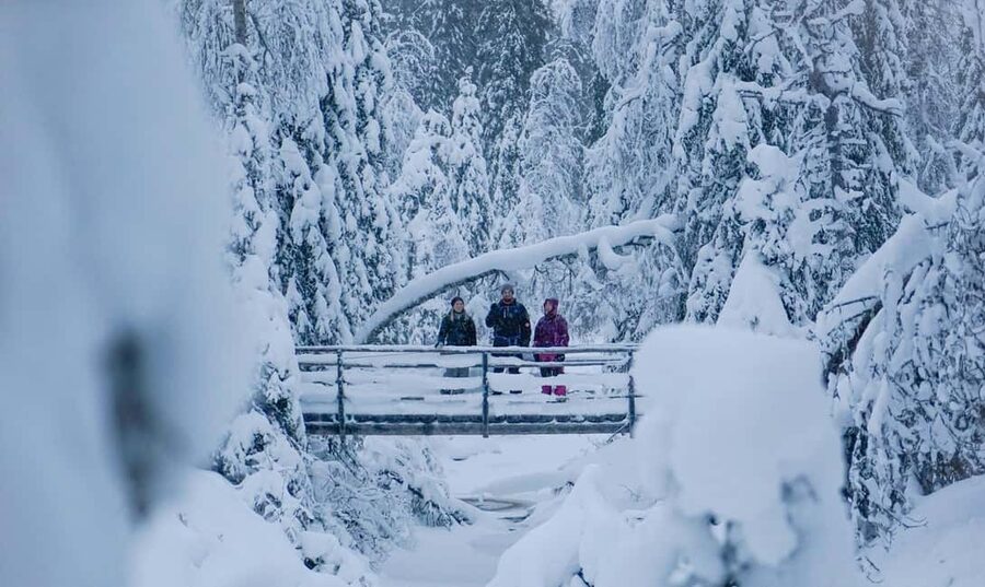 Rovaniemi: Korouoma Canyon and Frozen Waterfalls Tour - Booking Advice for Your Rovaniemi Itinerary
