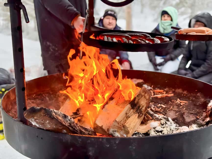 Rovaniemi: Korouoma Canyon & Frozen Waterfalls Tour with BBQ - What the guide adds to the day