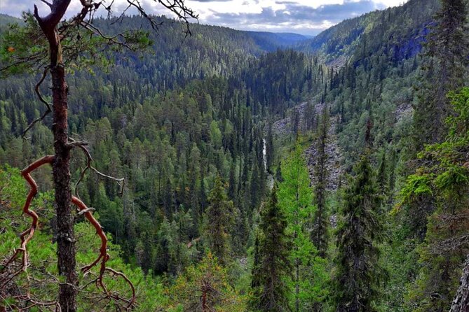 Rovaniemi Korouoma Canyon Hike and Barbecue Experience - Key points at a glance