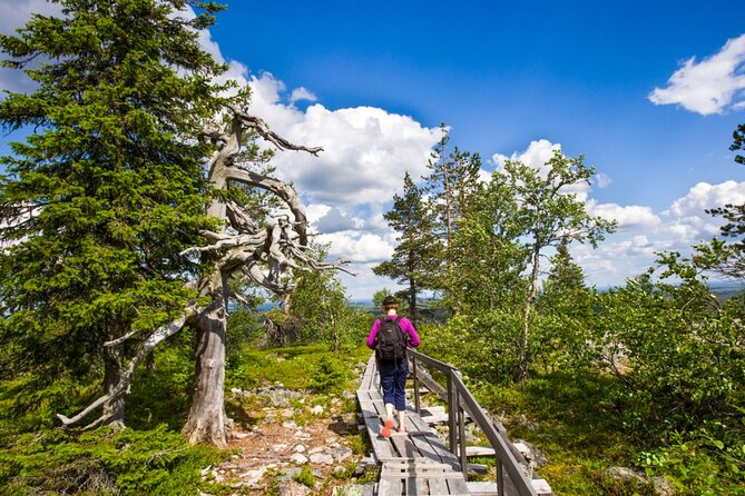 Rovaniemi Korouoma Canyon Hike and Barbecue Experience - The 9:00 am pickup from Rovaniemi