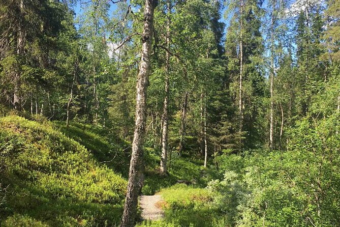 Rovaniemi Korouoma Canyon Hike and Barbecue Experience - Hiking the 4 to 6 km canyon route