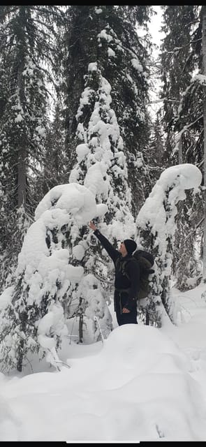 Rovaniemi: Korouoma Frozen Waterfalls Hike & Hot BBQ Lunch - Why Korouoma is worth the long ride from Rovaniemi