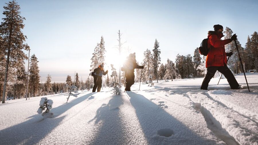 Rovaniemi: Lapland Ski Trekking Safari - Skiing through forests, hills, and frozen lakes