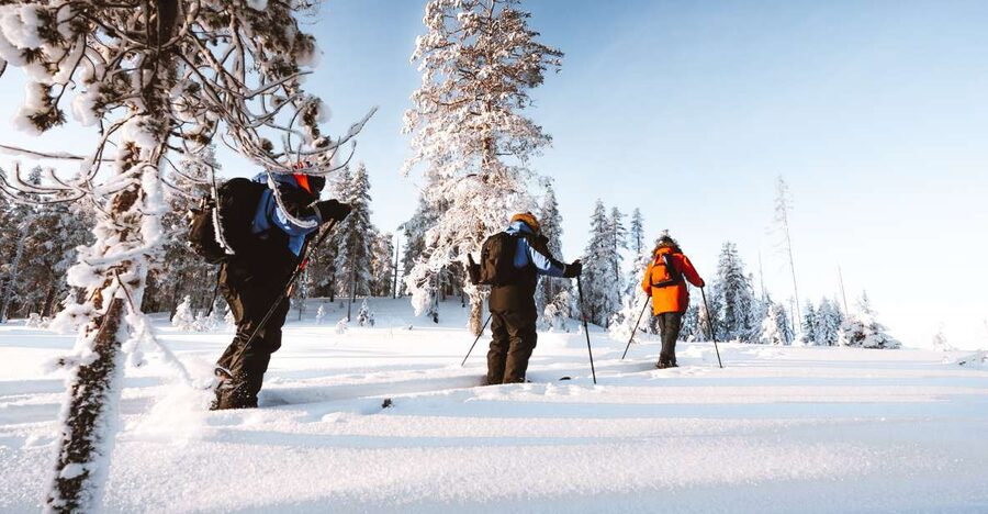 Rovaniemi: Lapland Ski Trekking Safari - What $128 includes and whether it feels fair