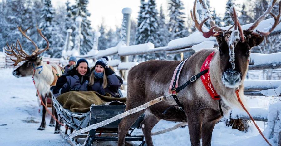 Rovaniemi: Local Reindeer Farm Visit with Sleigh Ride - Practical details that affect your day