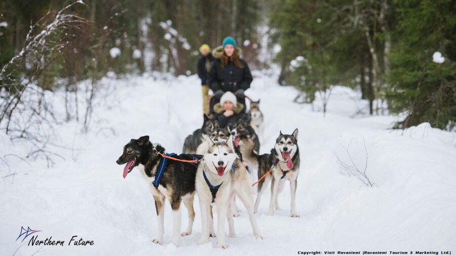 Rovaniemi: Meet Santa Claus, Reindeer Sleigh Ride & Huskies - Crossing the Arctic Circle at Santa Claus Village