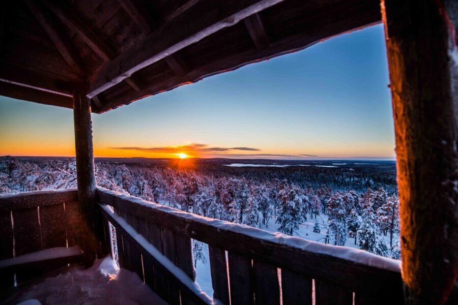 Rovaniemi: Nordic Forest Wilderness Adventure - Key points to know before you go