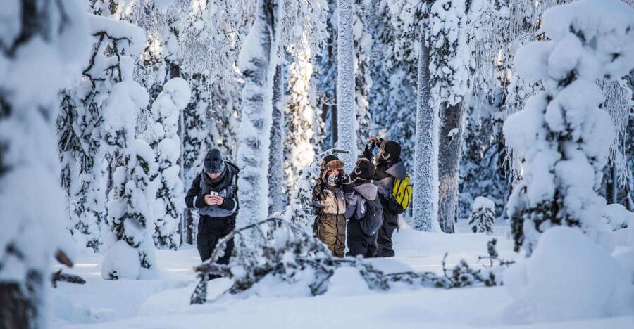 Rovaniemi: Nordic Forest Wilderness Adventure - How demanding is the walk?