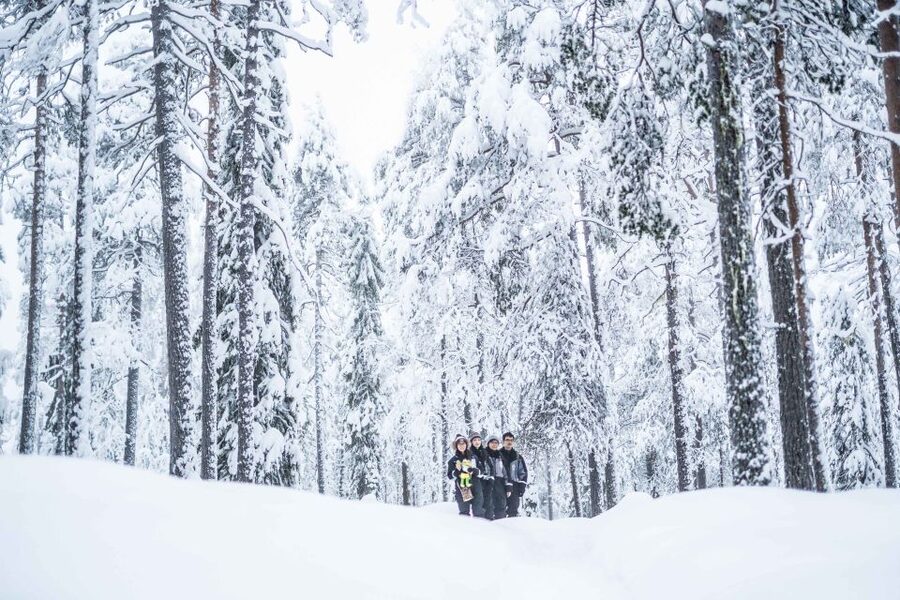 Rovaniemi: Nordic Forest Wilderness Adventure - Who will enjoy this most?
