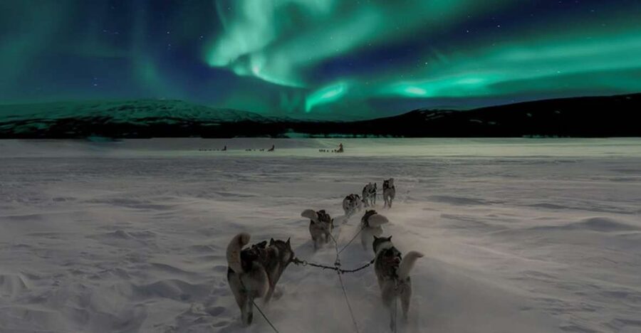 Rovaniemi: Northern Lights and Husky Sleigh Ride - Should you book the husky and aurora combination?
