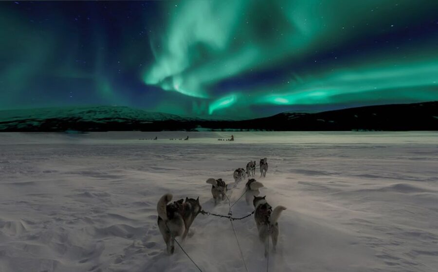 Rovaniemi: Northern Lights and Husky Sleigh Ride - A dark start in the Lappish countryside