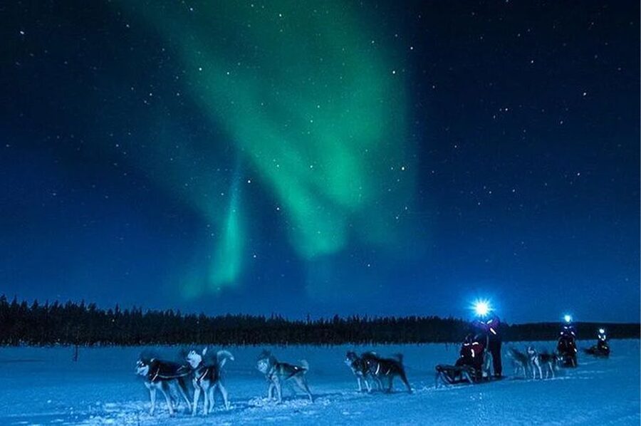 Rovaniemi: Northern Lights and Husky Sleigh Ride - Is $269 a fair price?