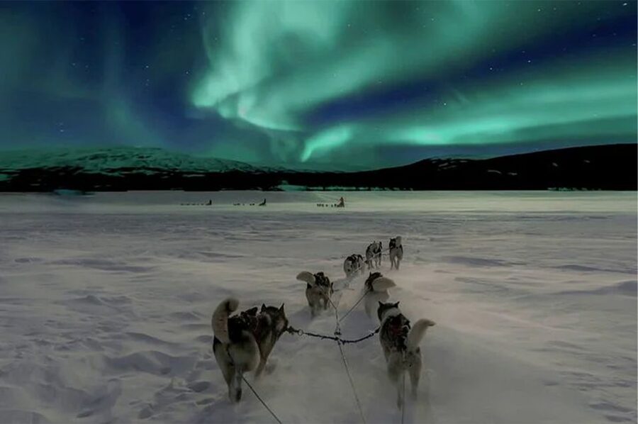 Rovaniemi: Northern Lights and Husky Sleigh Ride - Meeting the huskies at the farmhouse