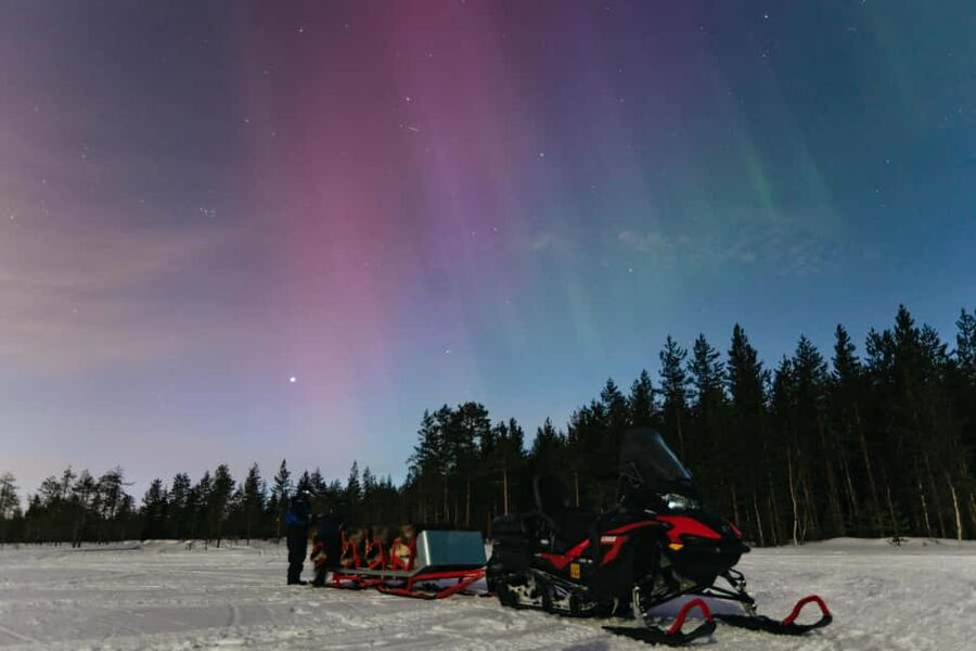 Rovaniemi: Northern Lights Family-Friendly Snowmobile Safari - The sleigh makes the difference for young children