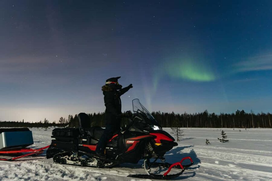 Rovaniemi: Northern Lights Family-Friendly Snowmobile Safari - What the $181 price really covers