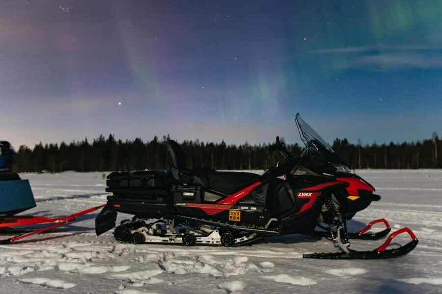 Rovaniemi: Northern Lights Family-Friendly Snowmobile Safari - Should you book it?