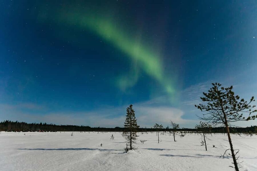 Rovaniemi: Northern Lights Family-Friendly Snowmobile Safari - Driving through the snowy forest