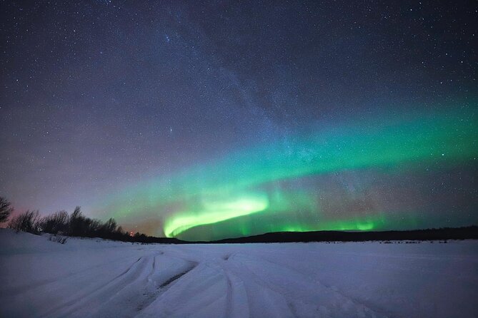 Rovaniemi: Northern Lights Group Tour - Guaranteed View - Choosing between a minivan and a heated bus