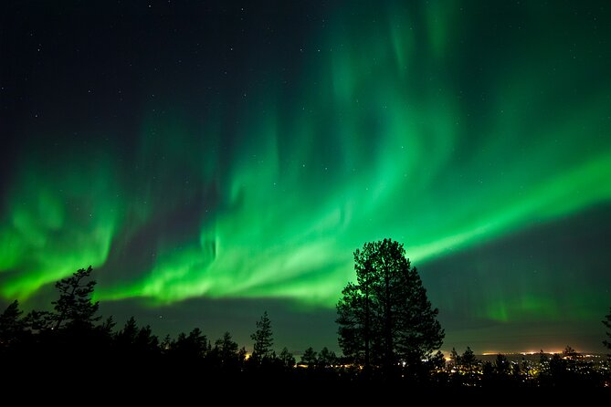 Rovaniemi: Northern Lights Group Tour - Guaranteed View - Campfire, warm juice, and the cold