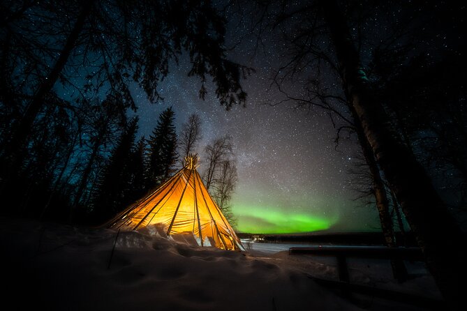 Rovaniemi Northern Lights Photography Small-Group Tour - Photography help for cameras and phones