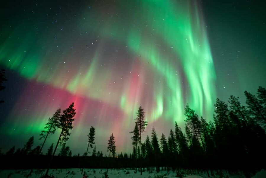 Rovaniemi: Northern Lights Photography Tour & BBQ - A campfire meal with reindeer sausage