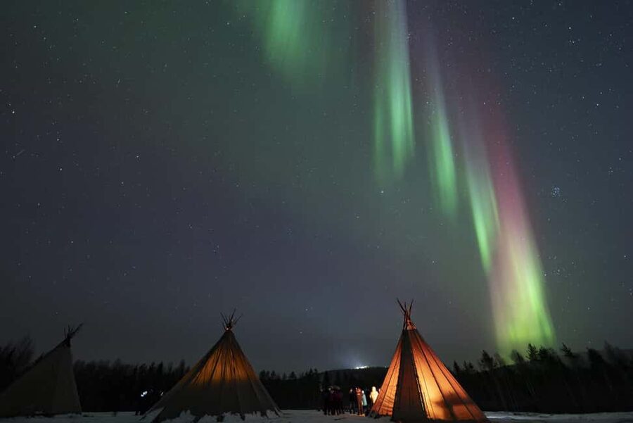 Rovaniemi: Northern Lights Photography Tour & BBQ - Is $104 a fair price?