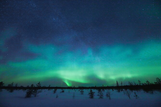 Rovaniemi: Northern Lights Pro Guaranteed - Unlimited Distance - Cold, toilets, and the practical details