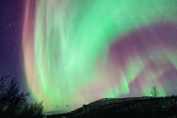 Rovaniemi: Northern Lights Pro Guaranteed - Unlimited (PRIVATE) - Following the forecast across Lapland